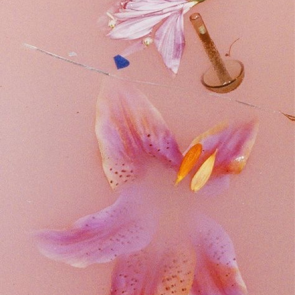 Meet your Posher, Marisol